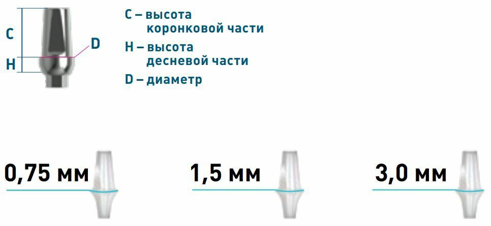 Схема платформы Ankylos